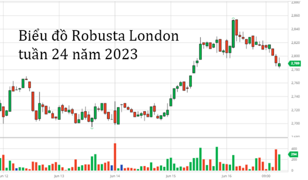 ÁP LỰC CHO CÁC CHỦ QUÁN KHI GIÁ CÀ PHÊ TĂNG CAO