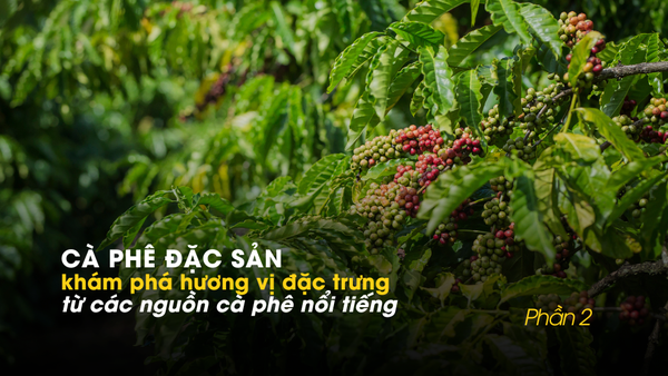 CÀ PHÊ ĐẶC SẢN: Khám phá hương vị đặc trưng từ các vùng cà phê nổi tiếng (Phần 2)
