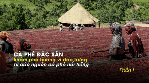 CÀ PHÊ ĐẶC SẢN: Khám phá hương vị đặc trưng từ các vùng cà phê nổi tiếng (phần 1)