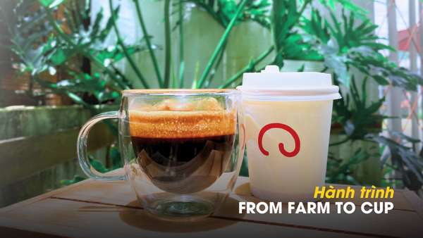 CÂU CHUYỆN CÀ PHÊ - Hành Trình Từ Hạt Đến Tách Và Nghệ Thuật Thưởng Thức