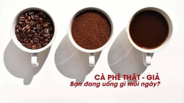 CÀ PHÊ THẬT - CÀ PHÊ GIẢ: Bạn đang uống gì mỗi ngày?