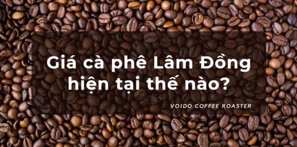 Giá cà phê Lâm Đồng hiện nay thế nào?