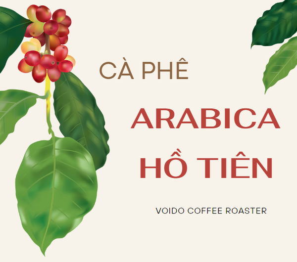 Cà phê Arabica Đà Lạt