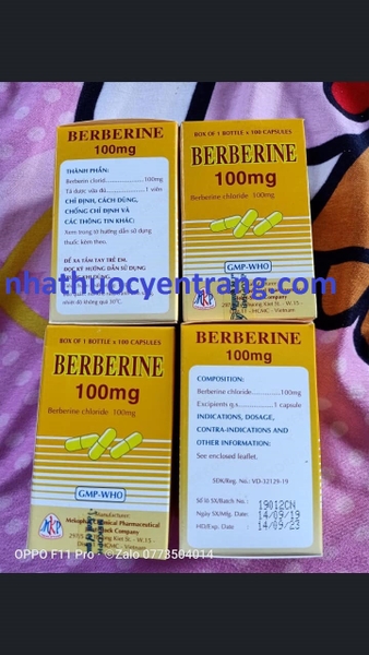 berberine-100mg
