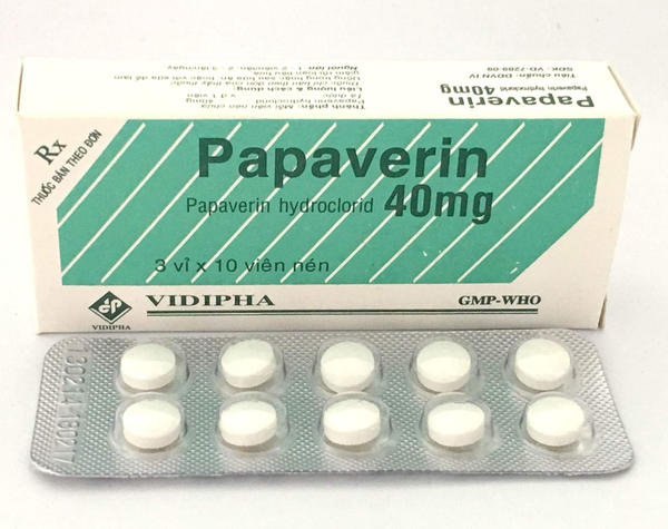 papaverin-40mg-100-vien