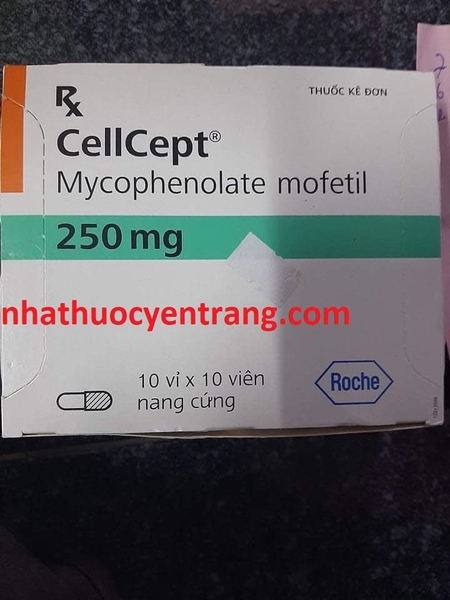 cellcept-250mg
