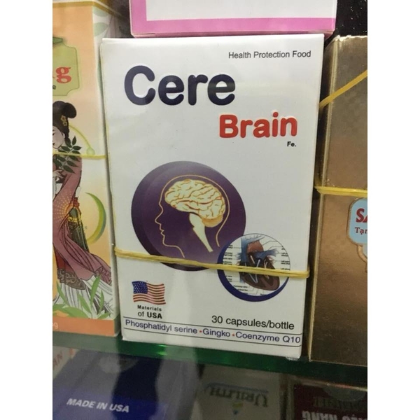 cere-brain