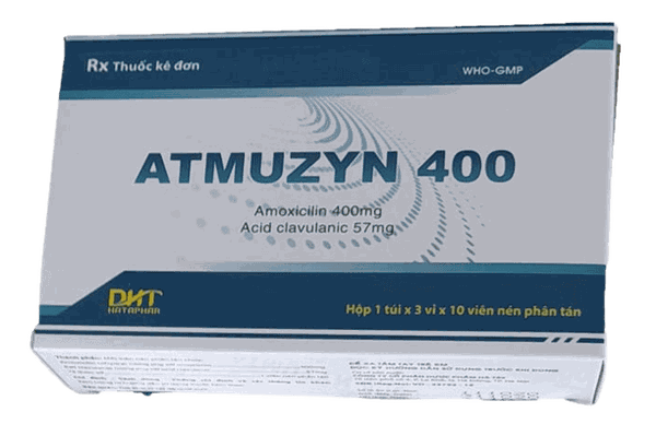 atmuzyn-400