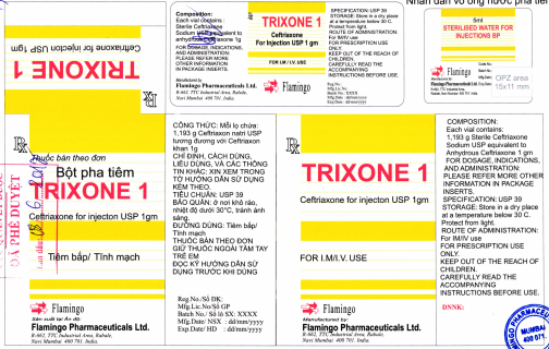 trixone-1g