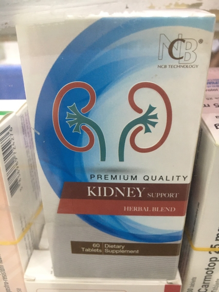 kidney