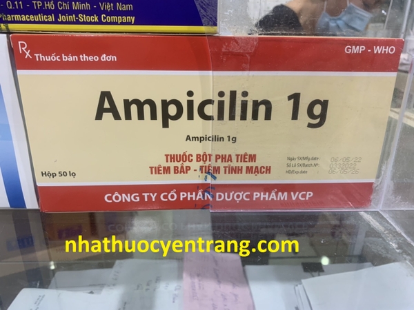 ampicilin-1g