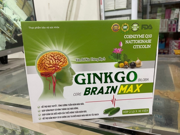 ginkgo-biloba-cere-brain-max