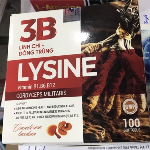 3b-lysine-linh-chi-dong-trung