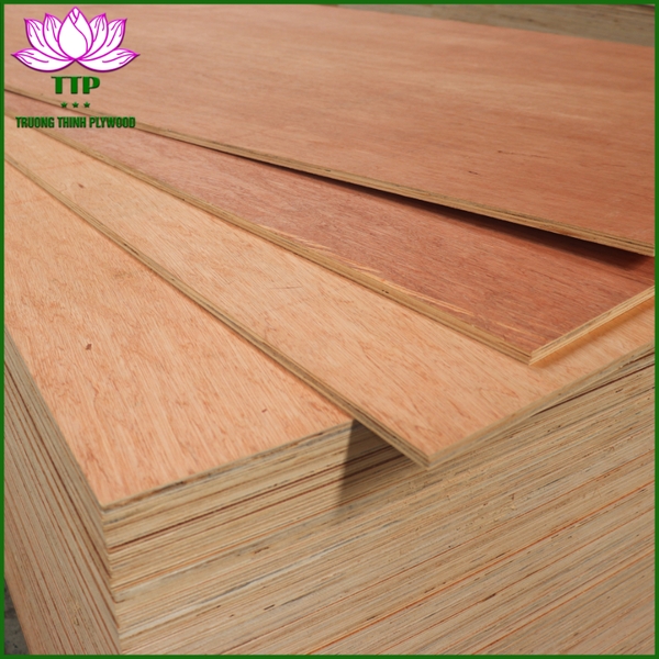 commercial-plywood-bintangor-face