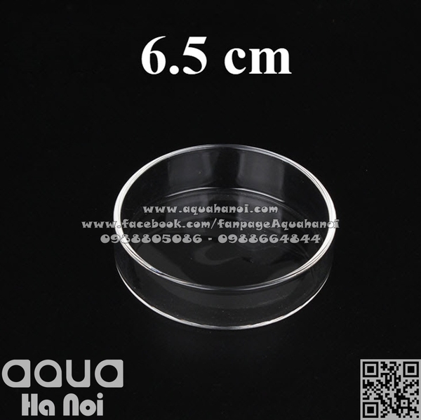 Chén đĩa thủy tinh cho cá tép ăn - Tròn - 6.5 cm