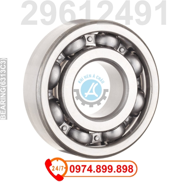 BEARING 29612491 Vòng bi Hitachi oil free DSP