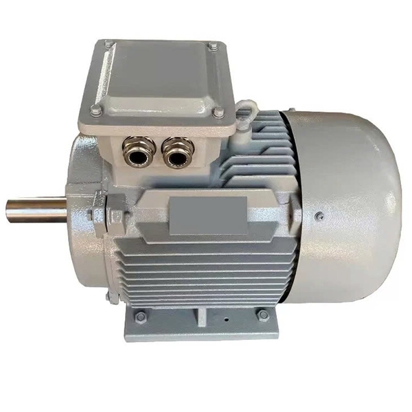 Động cơ máy nén khí điện Atlas Copco 1092090381