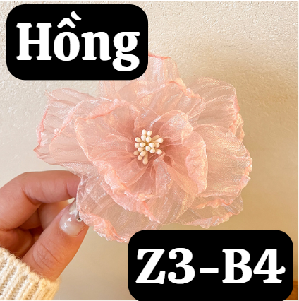 pvn64146-kep-toc-eugenia-flower-holiday