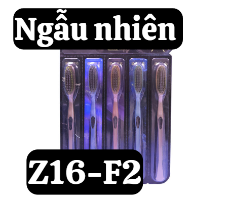 pvn65952-set-5-ban-chai-danh-rang