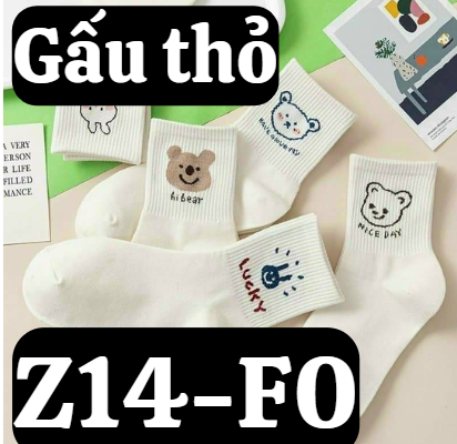 pvn34316-set-5-doi-tat-vo-co-cao-gau-tho-trang-cute-de-thuong