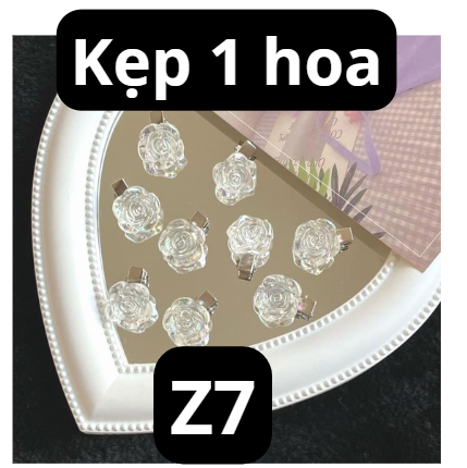 pvn62164-kep-toc-hoa-tra