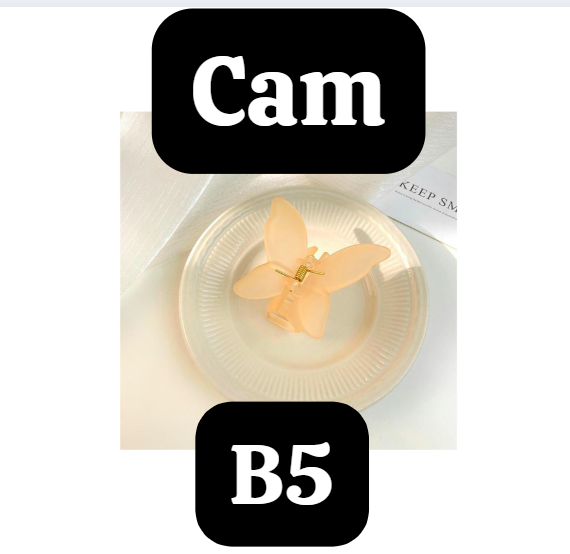 pvn63804-kep-toc-hinh-buom-3d