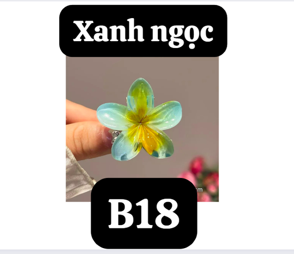 pvn61004-kep-toc-hoa-su-4cm