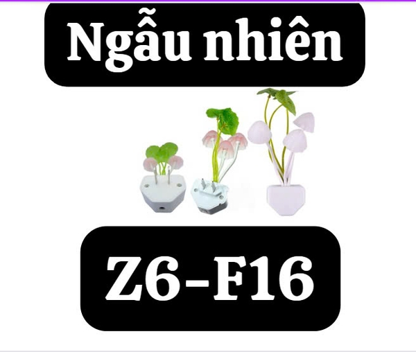 pvn6376-den-ngu-nam