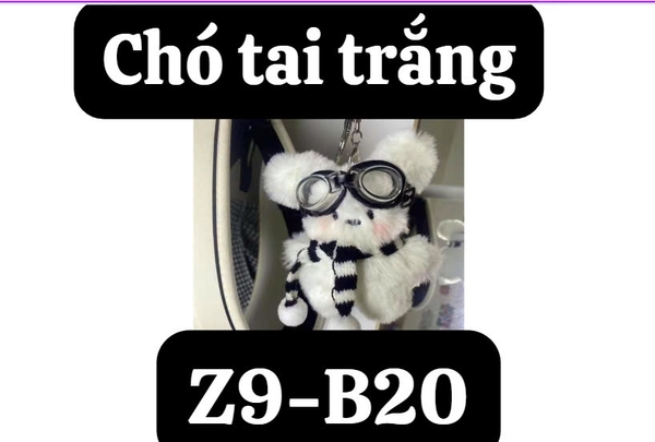 pvn67305-moc-khoa-cho