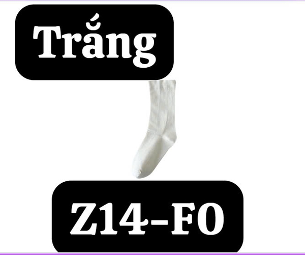 pvn61174-doi-tat-co-cao-nu-tron-cao-cap-vo-cao-co-nu