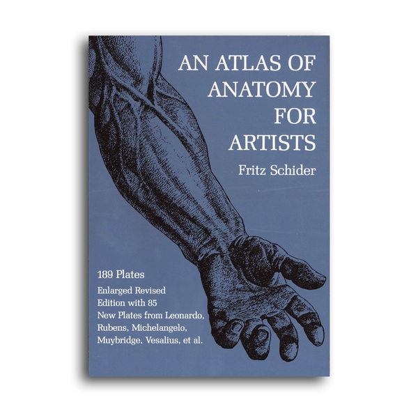 atlas of human anatomy for artists pdf