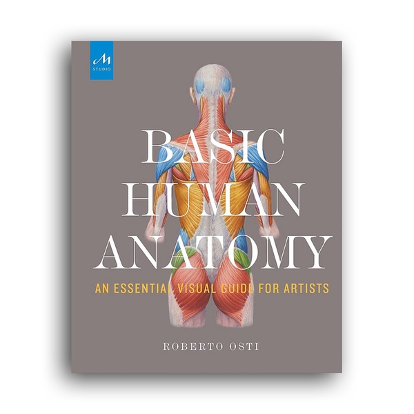Basic Human Anatomy Biology Diagrams