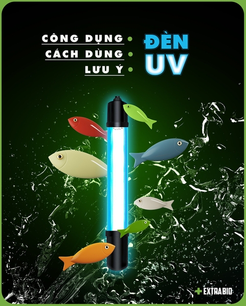 CÔNG DỤNG và CÁCH DÙNG đèn UV đúng cách cho hồ cá. Chế phẩm sinh học EXTRABIO
