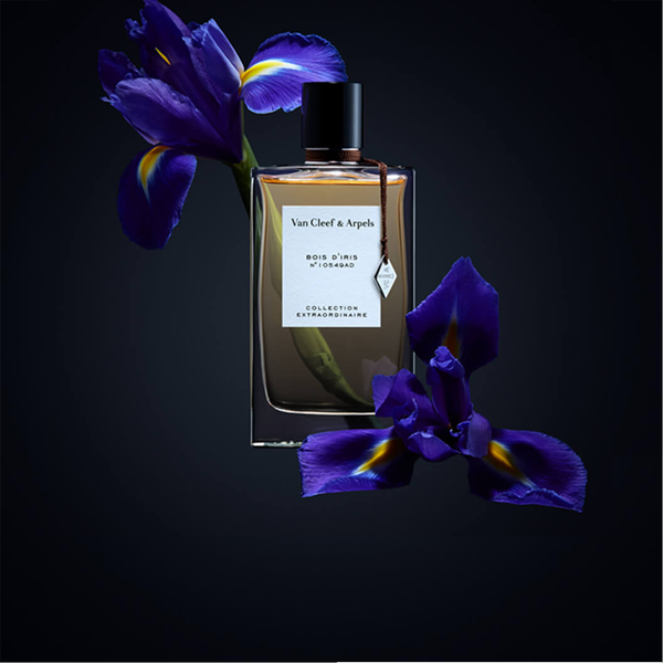 Vancleef Arpels Bois D Iris ALAND x BLVD