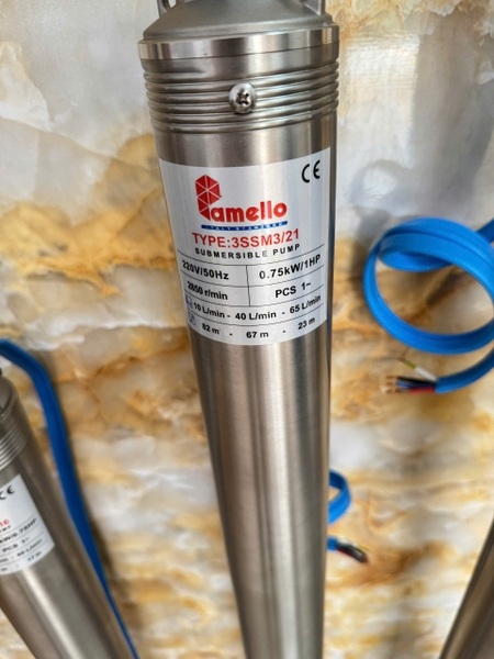 Bơm chìm giếng khoan 3 SSM 3/21