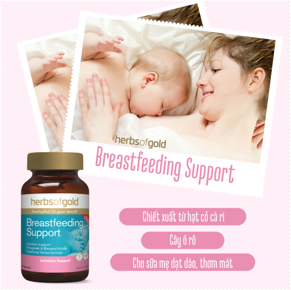 Thành phần chính của viên lợi sữa breastfeeding support là cỏ cà ri và cây kế sữa