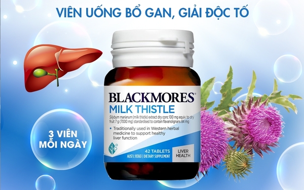 Viên uống Milk Thistle Blackmores Bổ sung chất dinh dưỡng cho gan khỏe mạnh