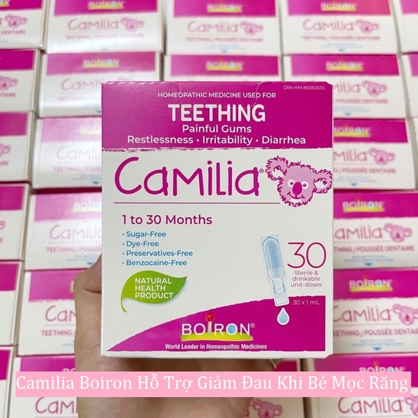 Camilia Boiron Canada Hỗ trợ giảm tối thiểu đau lợi khi lợi bị nứt do mọc răng