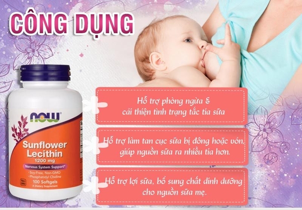 Viên Uống Now Foods Sunflower Lecithin Hỗ Trợ Ngừa Tắc Tia Sữa cho mẹ sau sinh