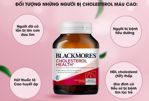 Giúp duy trì lượng cholesterol lành mạnh, giúp giảm các cholesterol xấu trong máu