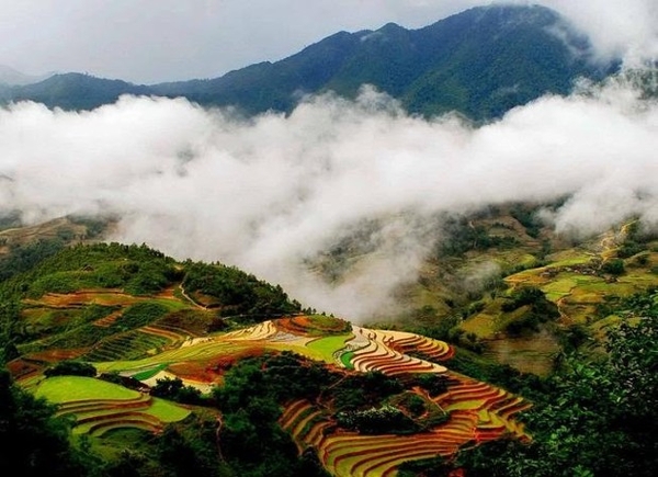 Đi Sapa mùa nào đẹp nhất?