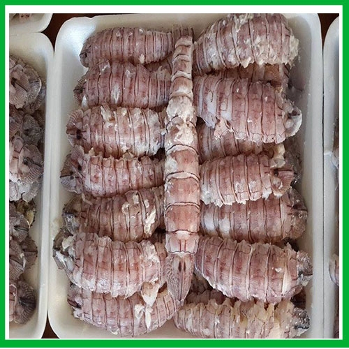 Bề bề bóc nõn 500gr