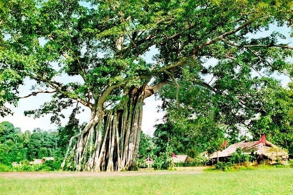 Tour Du Lịch Tuyên Quan - Cây Đa Tân Trào