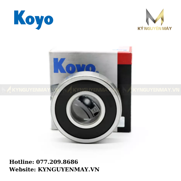 Bạc đạn KOYO 6203