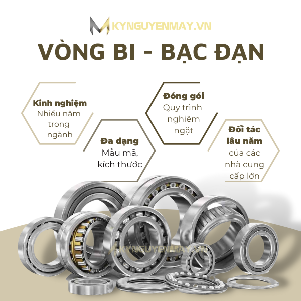 Vòng bi - bạc đạn