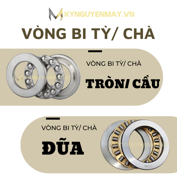 Vòng bi - bạc đạn tỳ