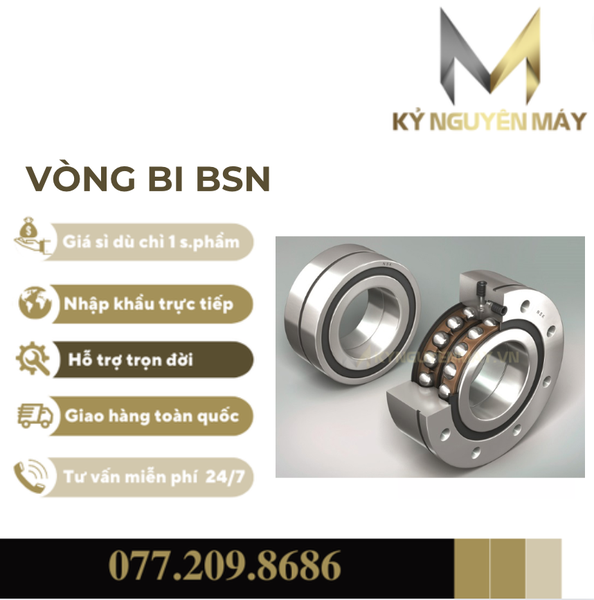 Vòng Bi BSN