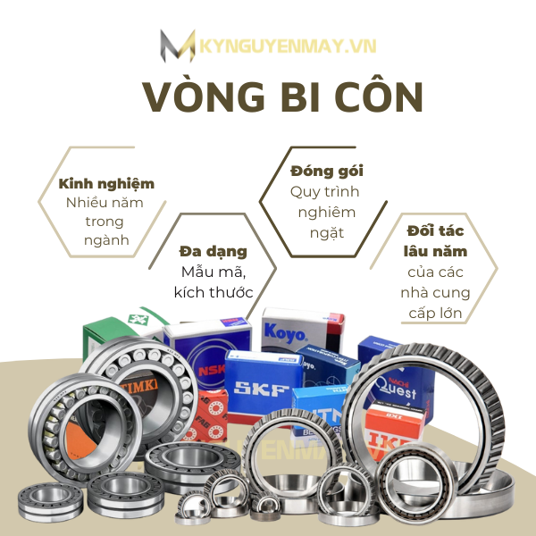 Vòng bi côn