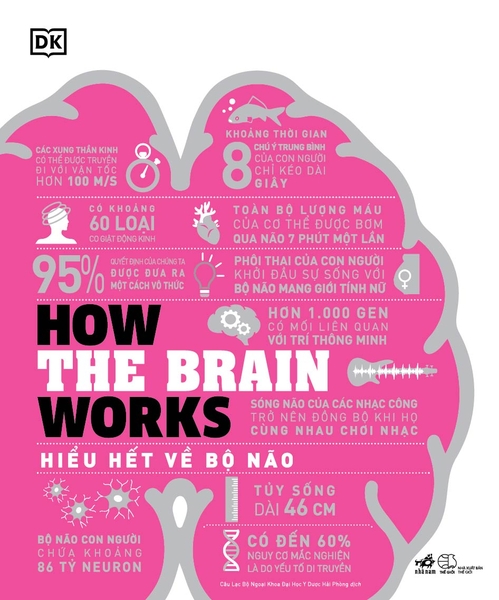 HOW THE BRAIN WORKS - HIỂU HẾT VỀ BỘ NÃO