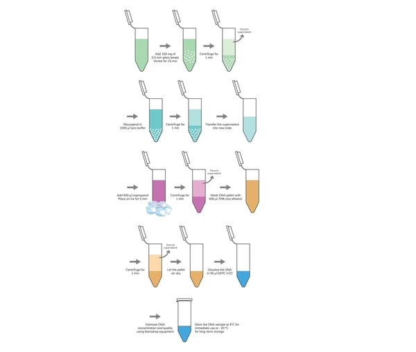 Phần 1 Sample Preparation and PCR Tips and Tricks CÔNG TY CỔ PHẦN KỸ
